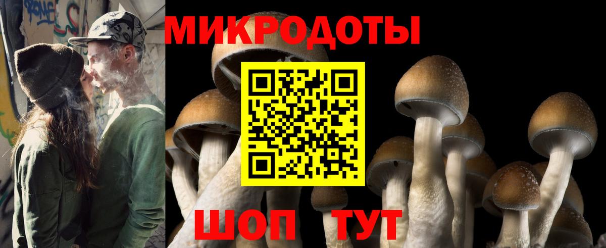Галлюциногенные грибы Magic Shrooms  Вход с VPN  Псилоцибиновые грибы GOLDEN TEACHER  цена наркотик  Новый Уренгой 